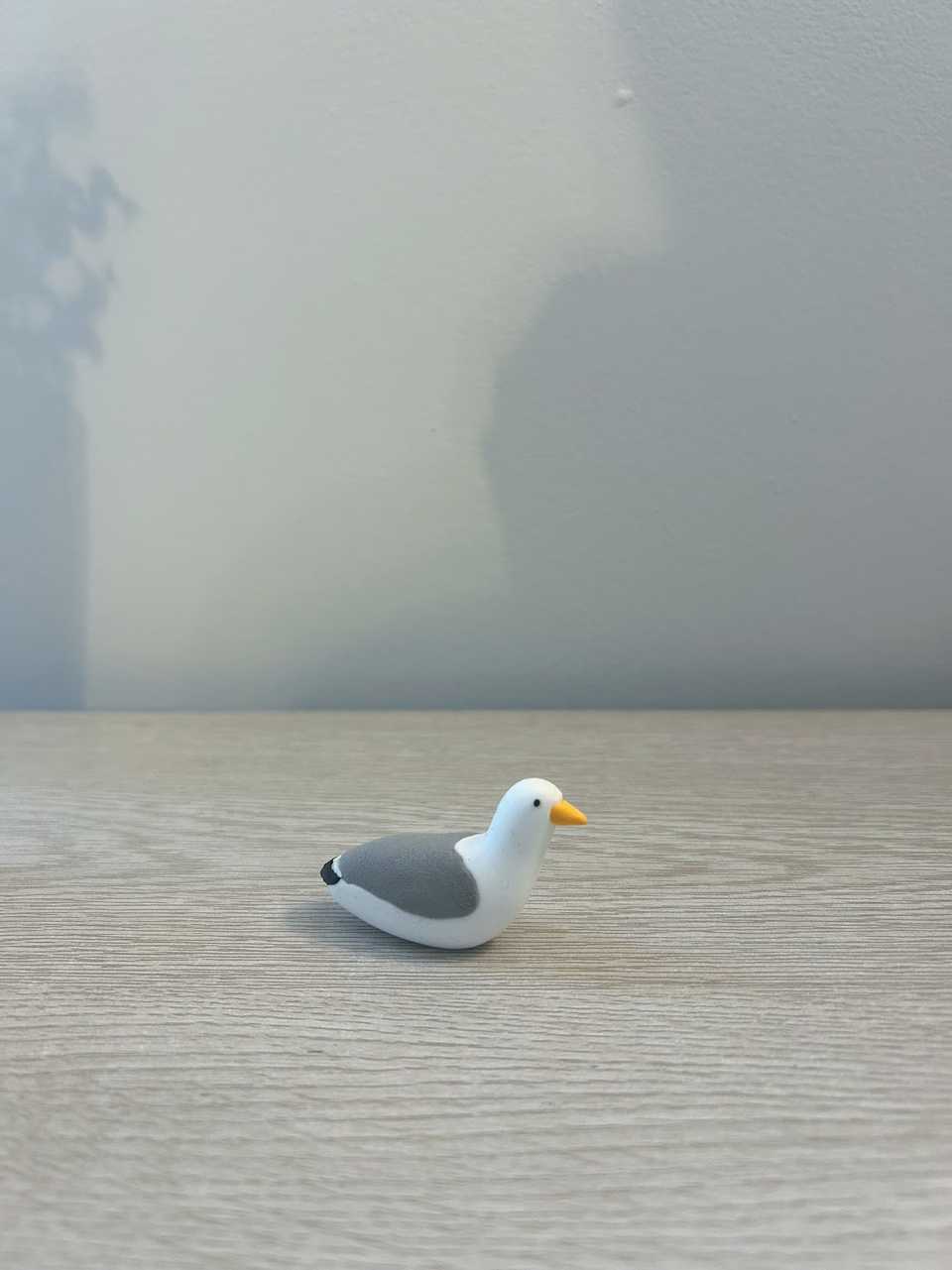 Seagull